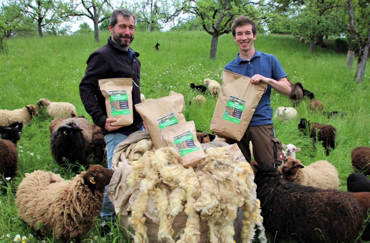 Hobby-Schäfer aus Notzingen: Schafwolle als wirksamer Gartendünger