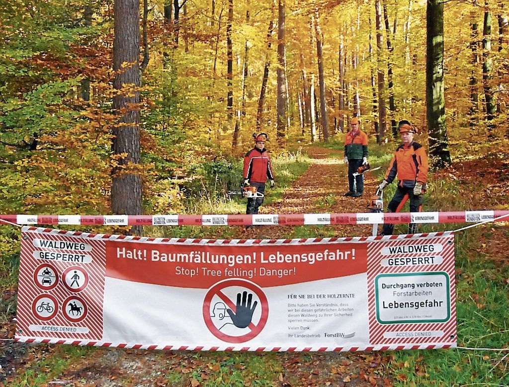 KREIS ESSLINGEN:  Holzernte hat begonnen - Immer wieder ignorieren Spaziergänger die Warnungen vor Baumfällarbeiten: Hinter der Absperrung besteht Lebensgefahr