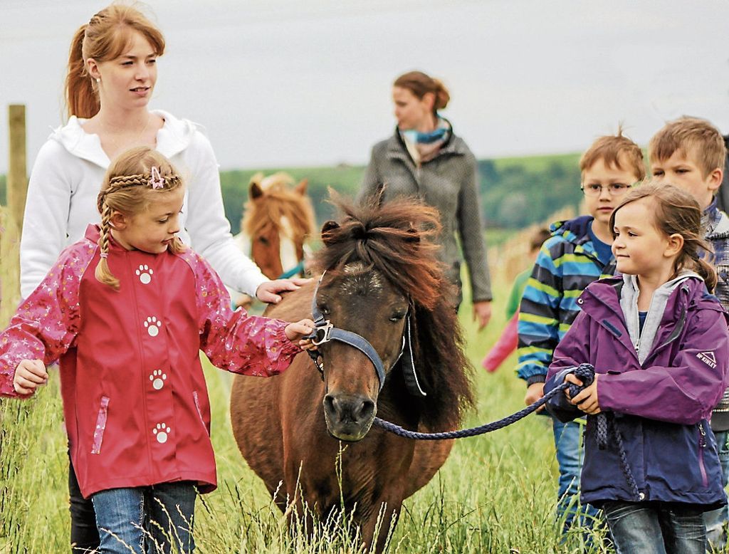 NÜRTINGEN:  Landwirtschaftsministerium unterstützt Initiative „Kinder ans Pferd“: Hochschule hilft Reitschulen