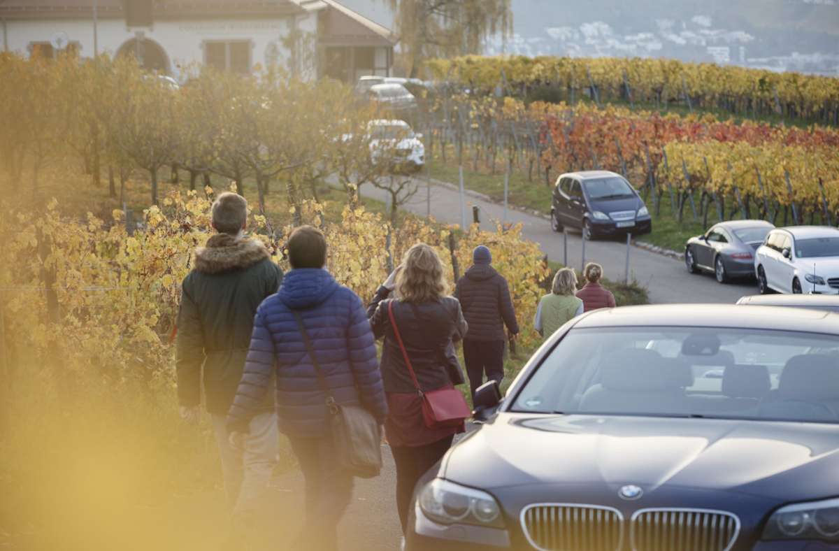 Besucheransturm in Stuttgart: Corona-Krise löst Chaos in den Weinbergen aus