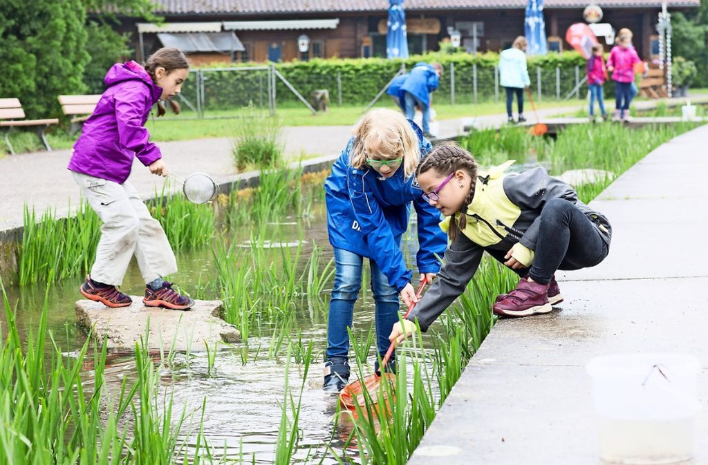 Kostenloses Kursangebot des Umweltzentrums Neckar-Fils für Schüler kommt sehr gut an: Naturerlebnis für Kinder