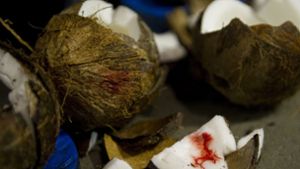 Deutscher haut 87 Kokosnüsse in einer Minute kaputt