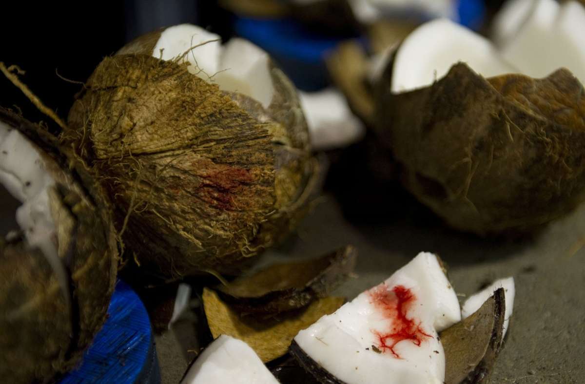 Neuer Weltrekord: Deutscher haut 87 Kokosnüsse in einer Minute kaputt