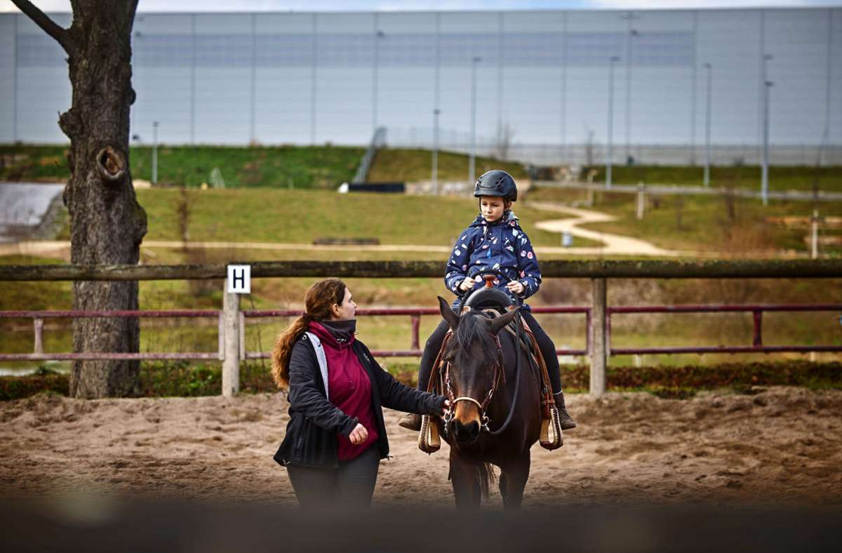 Petition für Clay-Pit-Ranch in Waiblingen: Kann der Pferdehof gerettet werden?
