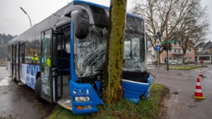 Bus prallt frontal gegen Baum –  Mehrere Schüler verletzt