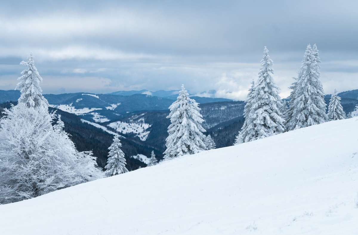 Nur an wenigen Tagen, vor allem im Januar und Februar, herrschten gute Schneeverhältnisse am Feldberg.