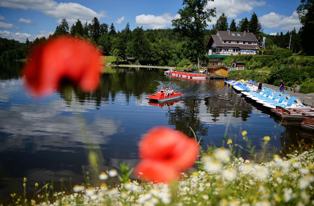 Der Ausflug muss nicht immer in die Ferne führen: Tretbootfahren am Ebnisee im Schwäbischen Wald.