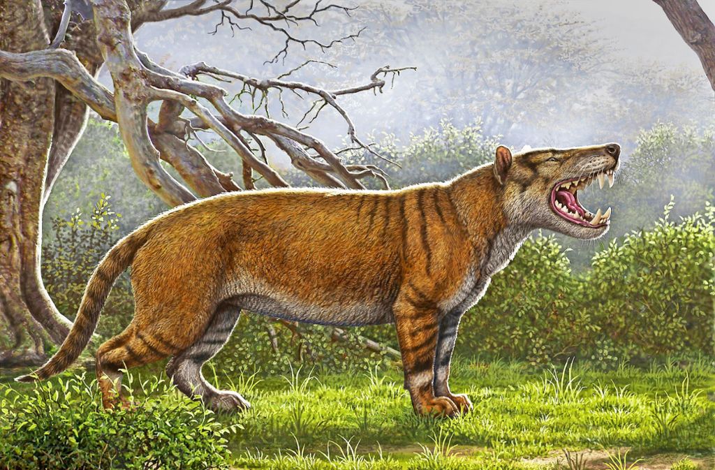 Fossilien aus Afrika: Unbekannter Riesenräuber aus der Urzeit
