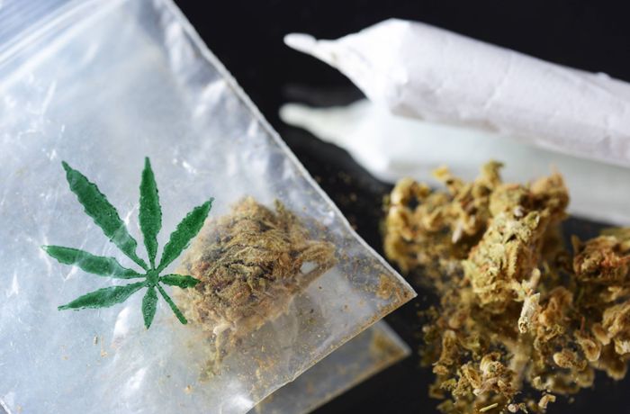 Julen Merino vom Cannabis Social Club: „Der aktuelle Gesetzentwurf ist völlig überreguliert“