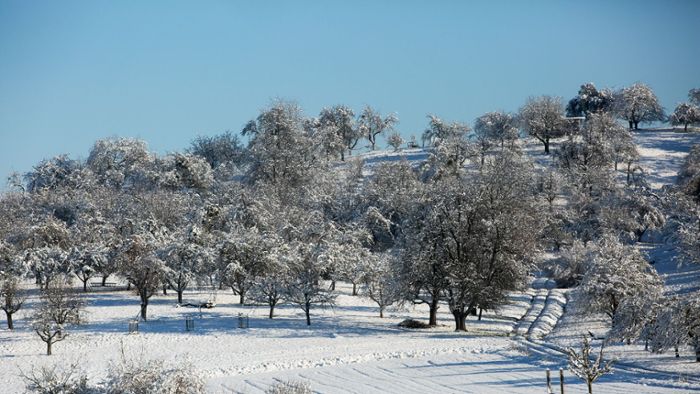 Schnee im Kreis Esslingen: Die schönsten Seiten des Winters