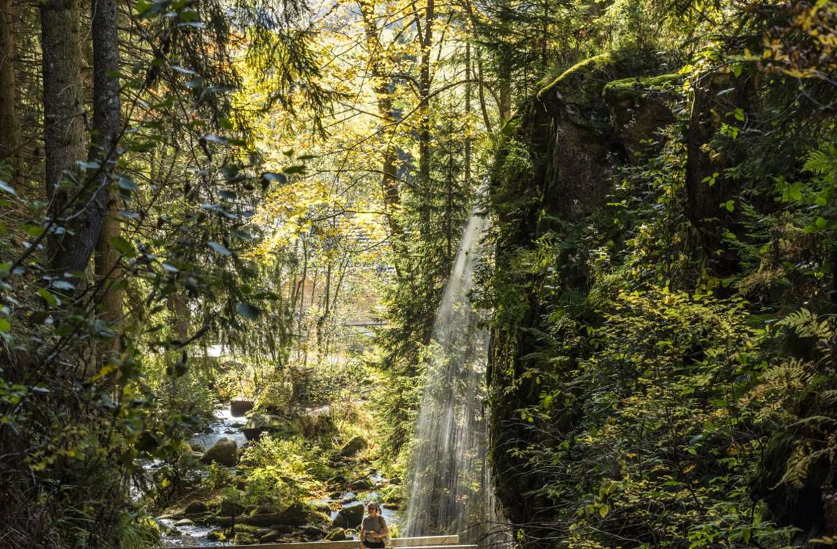 Reisen im Hochschwarzwald: Hochschwarzwald –  Reiseziel wie  aus einem Bilderbuch