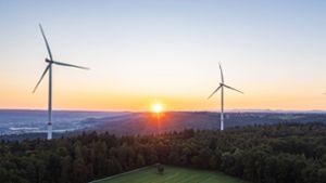 Windkraft auf dem Schurwald: Windkraftgegner kritisieren Staatssekretärin