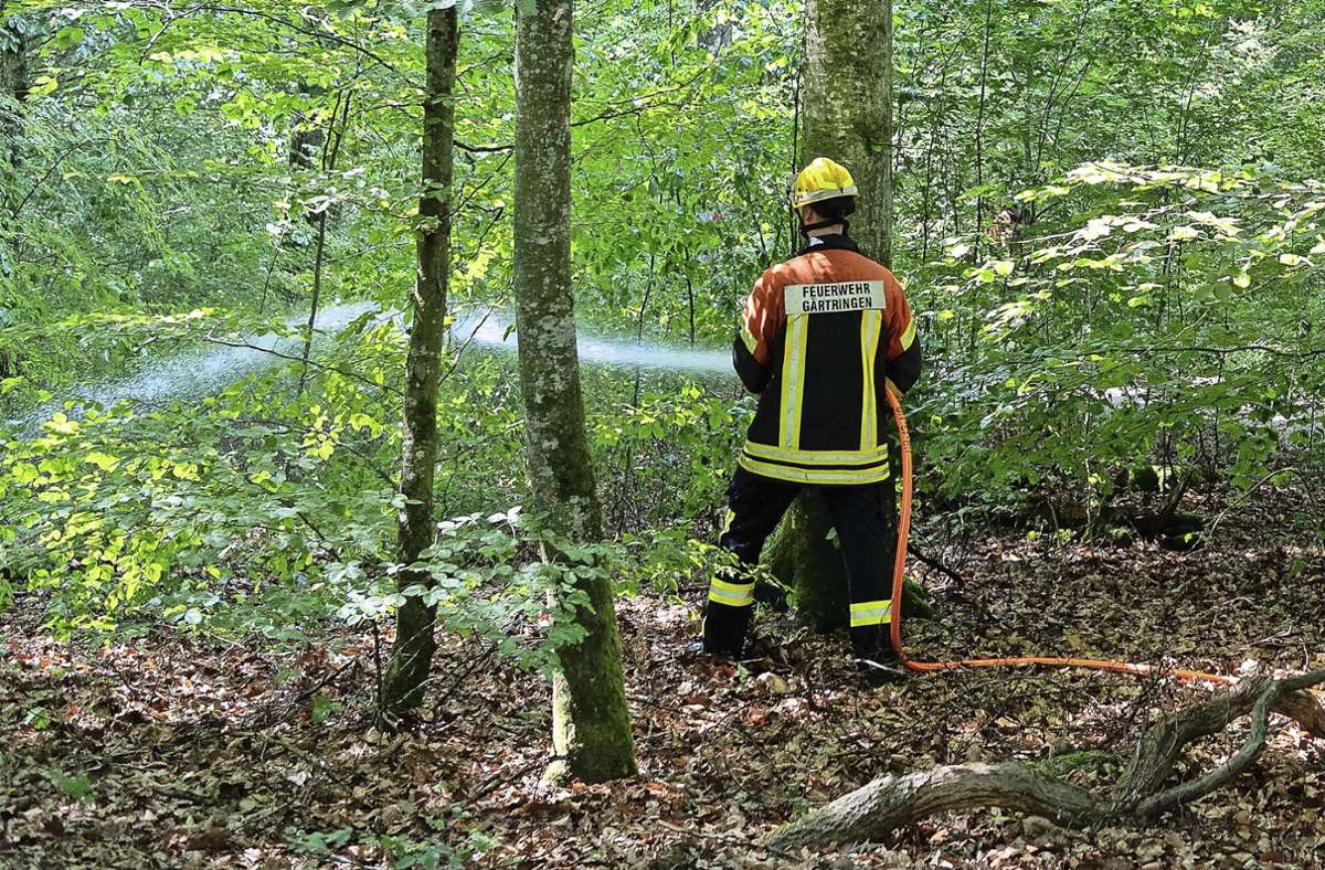 Feuerwehren im Kreis Böblingen: Im Ernstfall gemeinsam gegen den Waldbrand