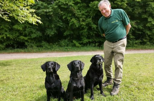 Seine drei Labrador-Jagdhunde Dyani, Willow und Abraxsas sind Wolfgang Hinderers wichtigste Helfer bei der Jagdausübung. Foto: Veronika Andreas