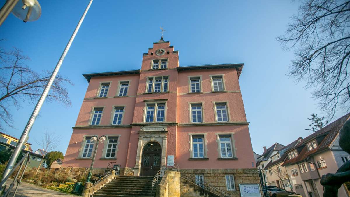 Bürgermeisterwahl in Plochingen: Wer sind die Bewerber?