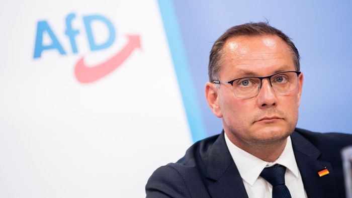 AfD will wieder gute Beziehungen zwischen Deutschland und Russland