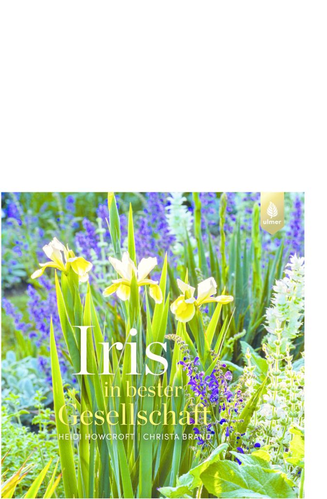 Die drei vorherigen Bilder stammen aus diesem Buch: Heidi Howcroft, Christa Brand: Iris in bester Gesellschaft. Ulmer-Verlag, Stuttgart. 168 Seiten, 30 Euro. Ein farbenprächtiger Bildband zur Iris als Gartenpflanze und zu ihrer Verwendung am Beispiel von Gartenbesitzern, die mit Iris gestalten.