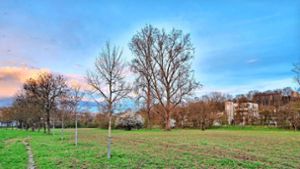Neue Gewerbeflächen in Wernau: Der Weg für das Gebiet Neckartal III ist   wieder frei