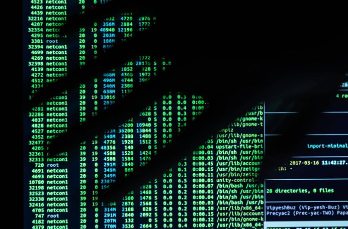 Chaos Computer Club warnt: „Schlecht gerüstet gegen Cyberattacken“