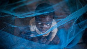 WHO warnt vor mehr Malaria-Toten wegen Corona-Pandemie