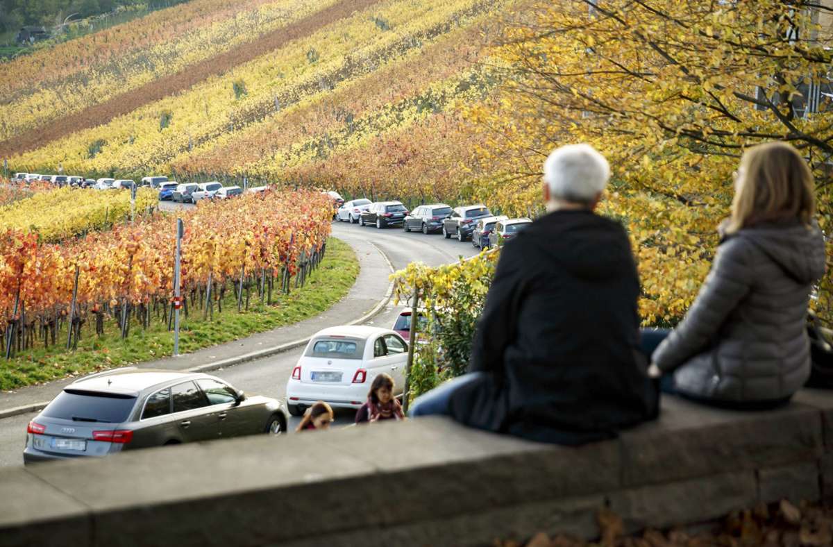 So war das Wetter im November: Goldene Pracht in Stuttgarts Weinbergen