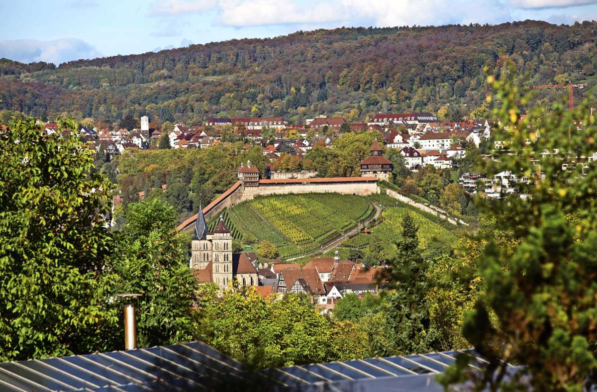 Ausflugstipp auf dem Schönenberg: Warum die Esslinger Burg gar keine ist