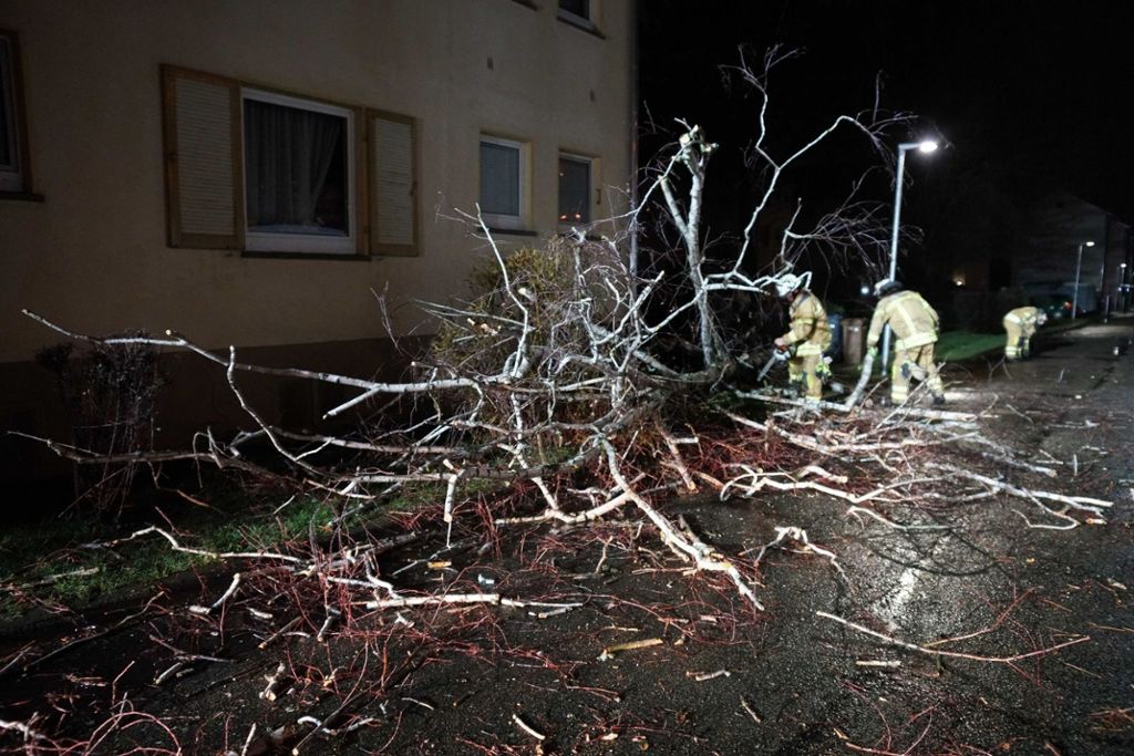 11.02.2020 Ein Baum stürzte in Esslingen-Zell auf ein Gebäude und die Straße.