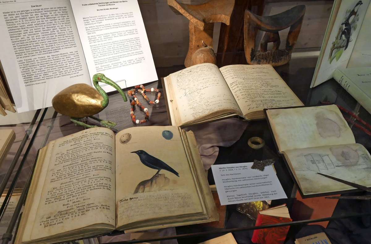 Ausstellung im Stadtmuseum Wendlingen: Vogelbilder aus drei Jahrhunderten