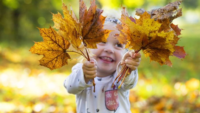 Schöne Herbst-Erlebnisse für Kinder