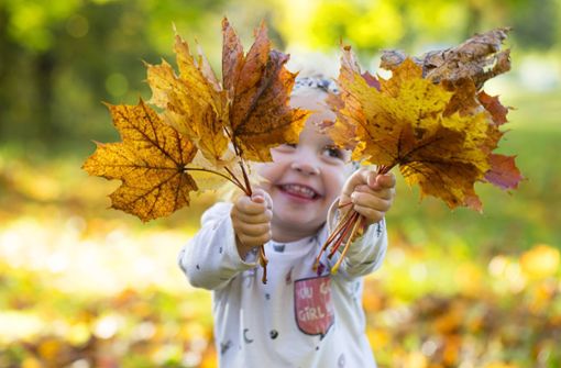 Bunte Blätter  und Kastanien – für viele Kinder ein Highlight im Herbst. Foto: Imago/Westend61/Wolfgang Weinhäupl