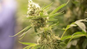 Illegaler Drogenverkauf an Cannabis-Automaten?