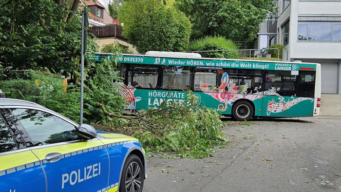 Bus fährt gegen Baum – Alle 41 Insassen verletzt