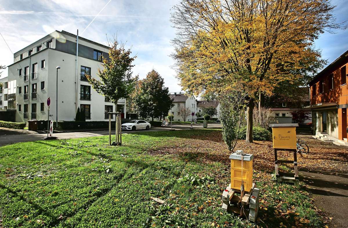 Tiny-Häuser  im Kreis Esslingen: Nürtinger Wohnexperiment lässt auf sich warten
