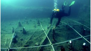 7000 Jahre alte Boote geben neue Aufschlüsse über Seefahrt