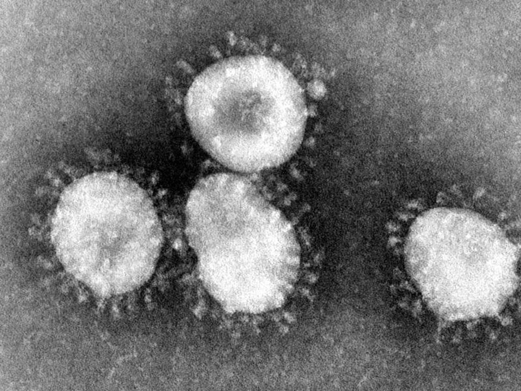 Coronavirus: Zweiter Todesfall durch Lungenkrankheit in China