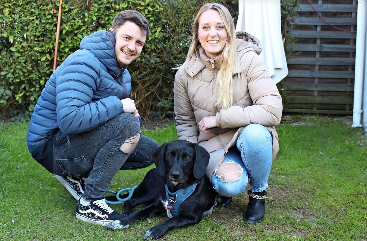 Nellinger Paar sammelt für kranken Hund: Warum immer mehr Menschen im Internet um Spenden bitten