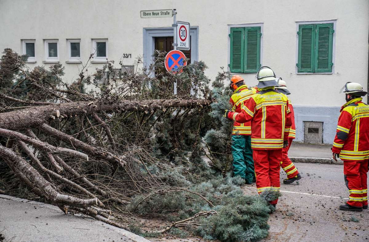 Umgestürzte Bäume und abgedecktes Kirchendach: Sturmtief „Luis“ fegt über den Landkreis Esslingen