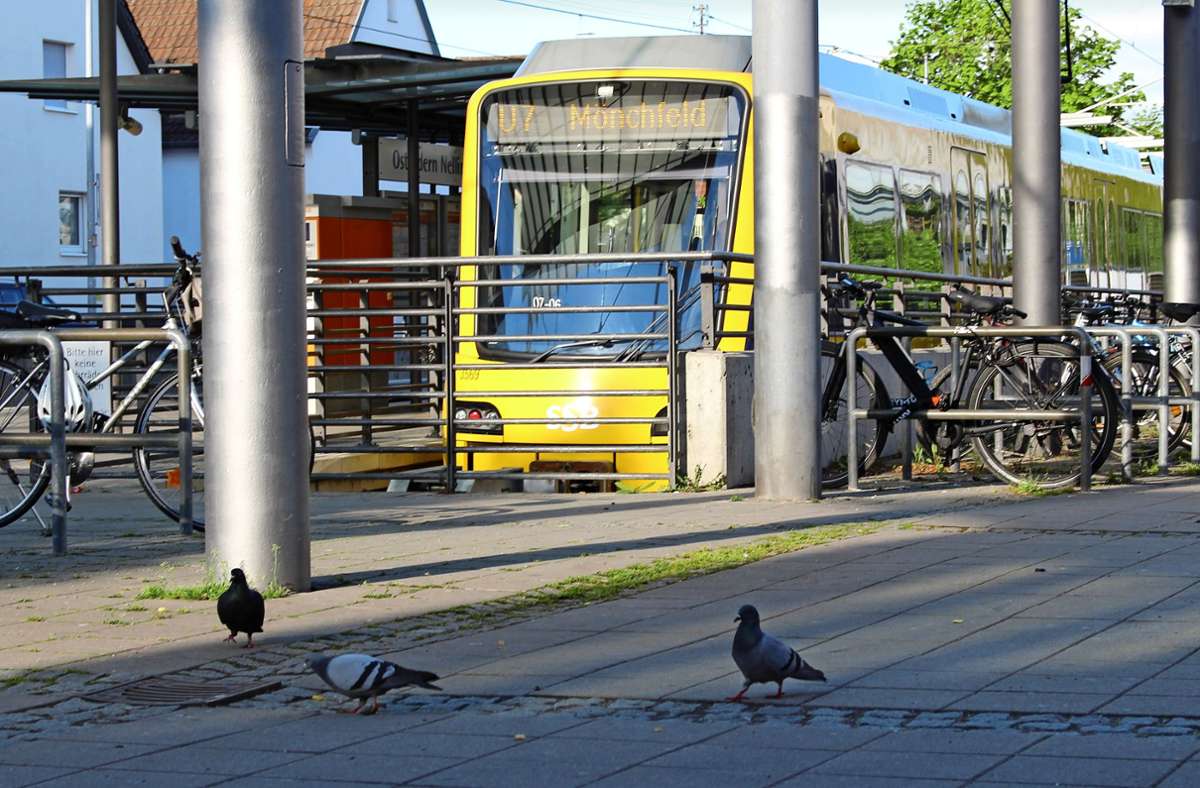 Stadtbahn-Endhaltestelle in Ostfildern: Anwohner sprechen von einer Taubenplage