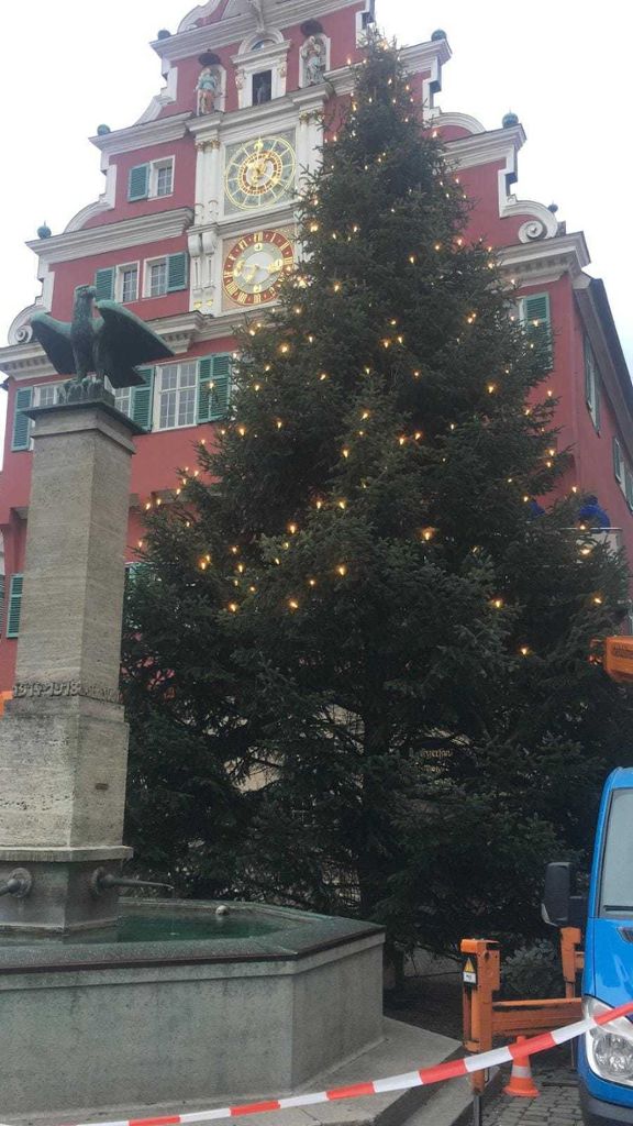 Weihnachtsbaum steht vor Altem Rathaus Esslingen