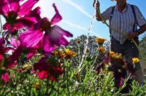Neue Serie: Gartenzeit: Vorfreude auf den Frühling im Kreis Esslingen