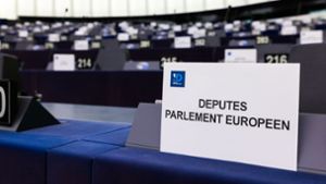 Europäisches Parlament: Rauswurf der AfD aus EU-Fraktion beantragt