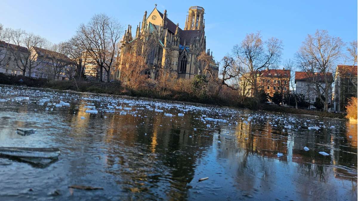 Zugefrorene Seen in Stuttgart: Die frostige Idylle hat auch ihre Tücken