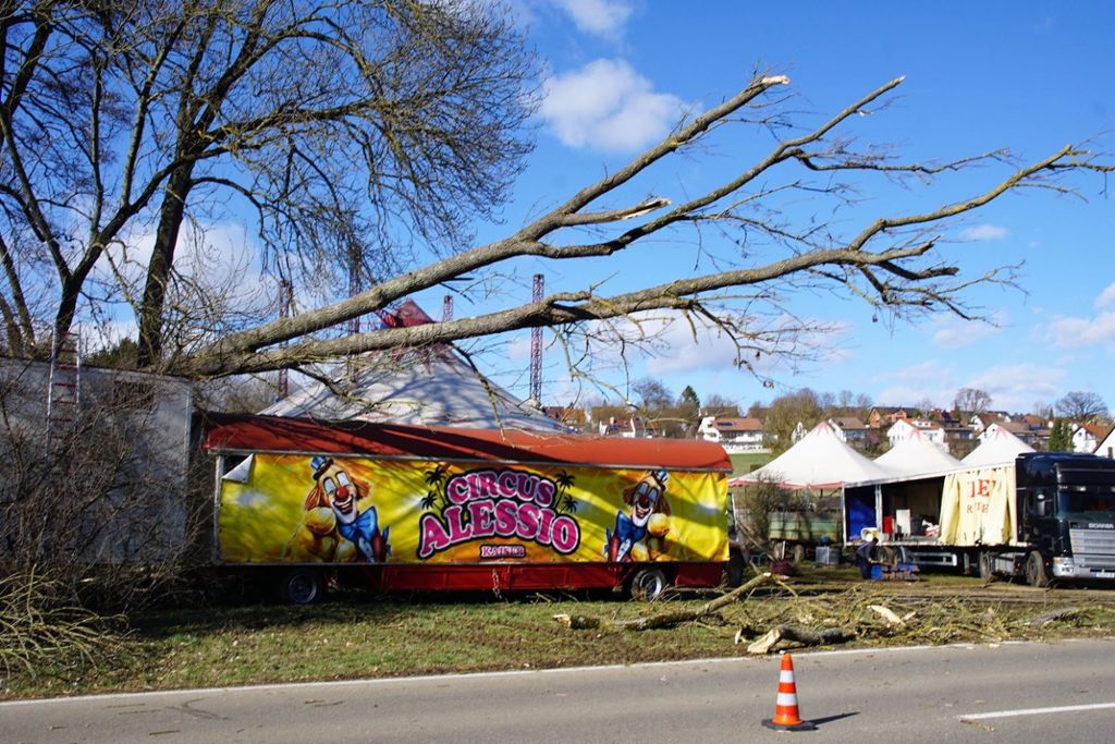 Baum stürzt in Grötzingen auf leeren Zirkuswagen: Sturmtief „Eberhard“ geht glimpflich ab