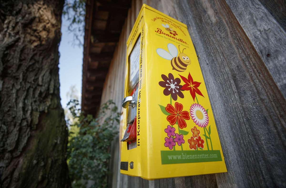Artenschutz in der Region Stuttgart: Wildbienenfutter aus dem  Kaugummiautomaten