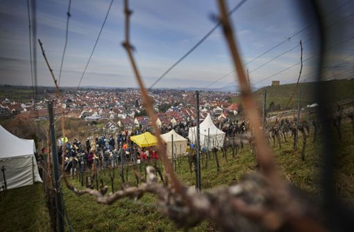 Eine schöne Aussicht auf das Remstal und  regionale Weine und Speisen sind das Erfolgsrezept des Winterweinwegs in Stetten. Foto: Gottfried Stoppel/Gottfried Stoppel