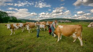 Tierrechtler gehen gegen Milchbauern vor