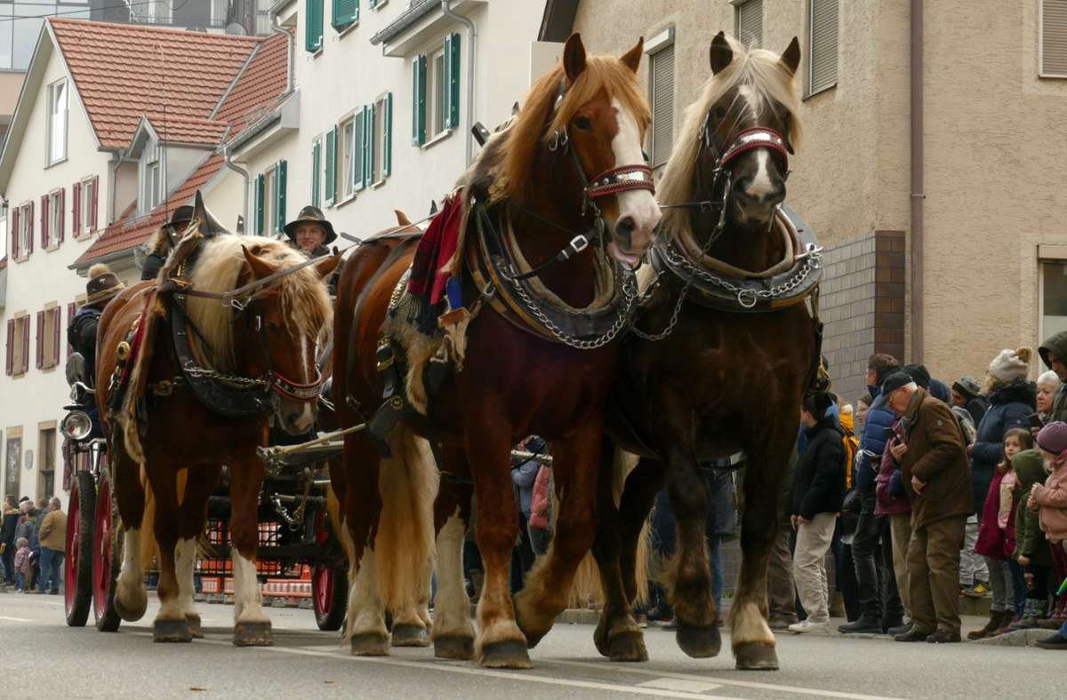 Ein Vierspänner zieht beim Umzug des Bernhäuser Pferdemarkts die Blicke auf sich.