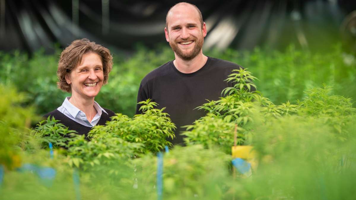 Forschen zu Cannabis: Professorin Simone Graeff-Hönninger und Doktorand Christian Büser von der Uni Hohenheim.