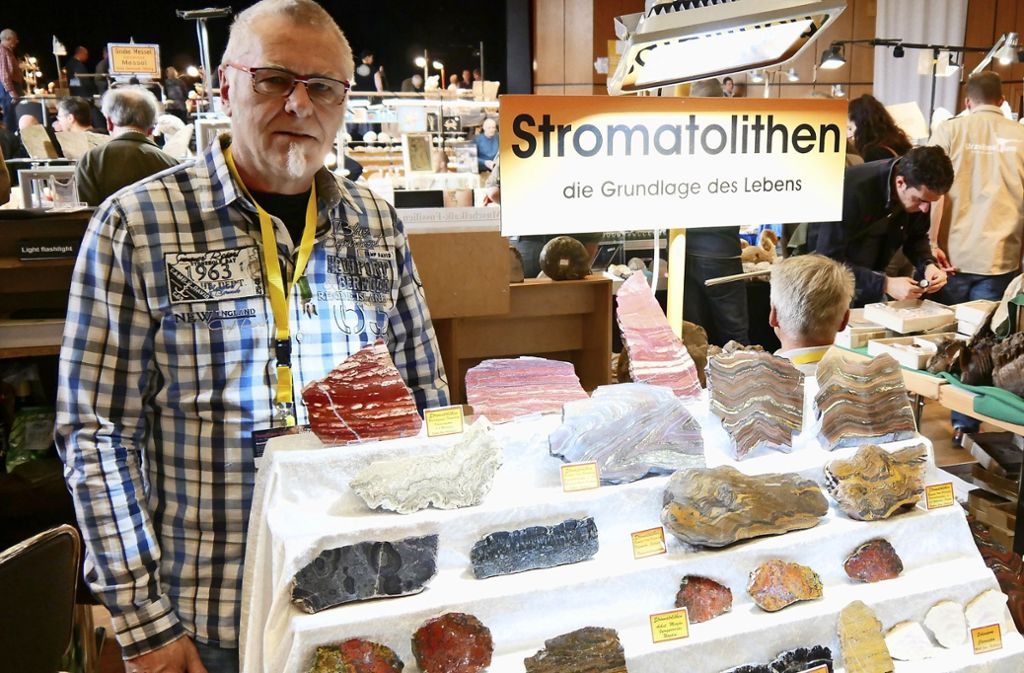 Robert Müller sammelt und verkauft seltene  Stromatolithen. Foto: Dannath -  Dannath
