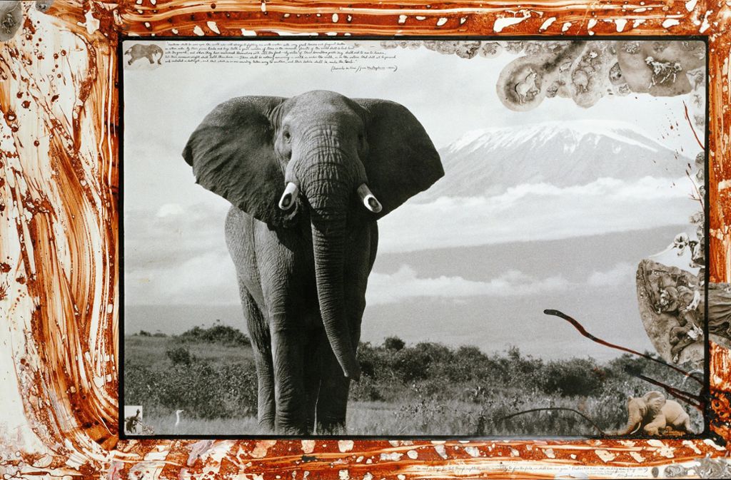Ein Elefant vor dem schneebedeckten Kilimanjaro – eine Aufnahme Peter Beards von 1984, die er 2007 zu einer Collage weiter verarbeitete.